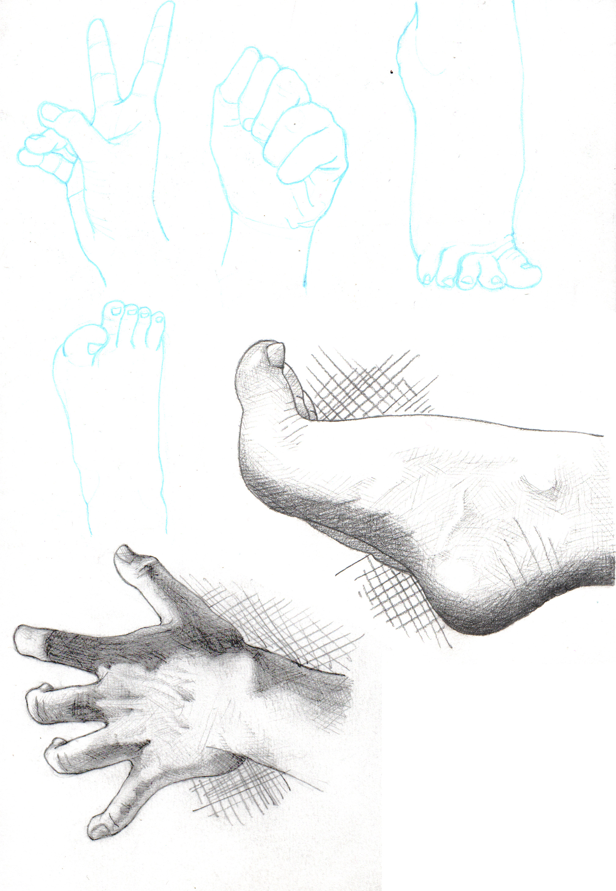 Hands and feet sketches